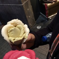 IMG 235
